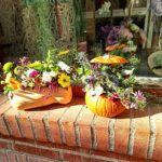 Calabazas naturales con flor natural